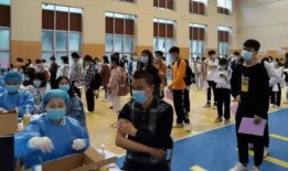 大连爆料小鹏事件最新消息,真相揭晓，多方回应引关注